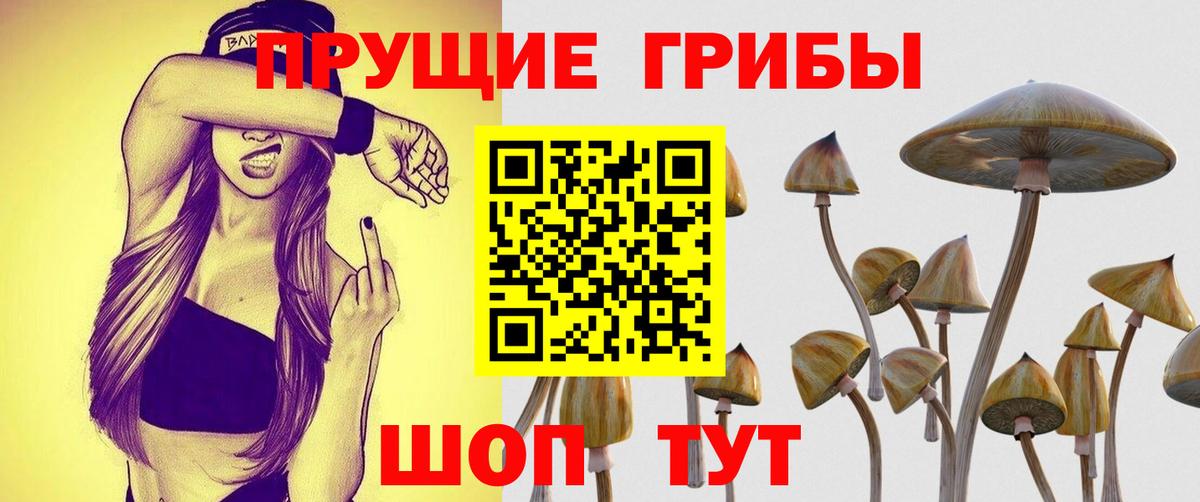 Баксан  Псилоцибиновые грибы мицелий  сколько стоит  Вход с VPN 
