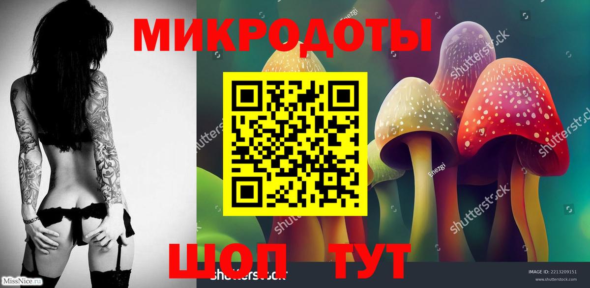 Псилоцибиновые грибы прущие грибы Баксан