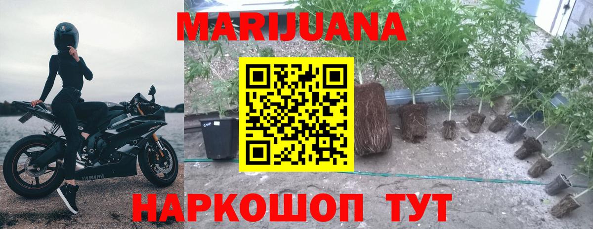 Баксан  Каннабис LSD WEED  МАРИХУАНА OG Kush  Вход с VPN 